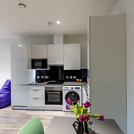 Apartmán Yugo Brewers Close Dublin